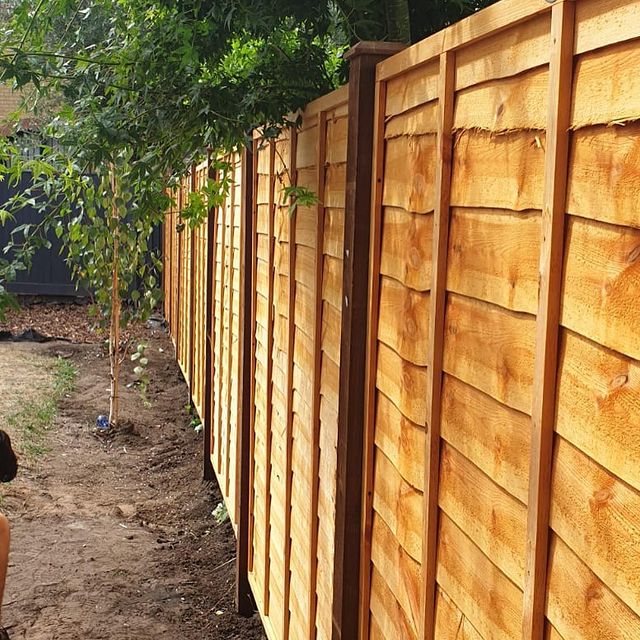 Fencing Staines