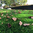 All Seasons Artificial Grass Surrey
