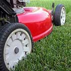No Mowing Artificial Grass Surrey